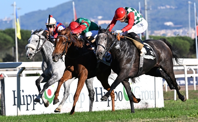 La Gite trionfa nel Lydia Tesio delude Estrosa la cavalla di Allegri A Flag's Up il Premio Roma mentre Westminister Night vince il Ribot