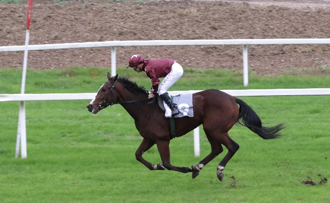 Ippica: all’Ippodromo Snai San Siro la Scuderia Topeeka viene celebrata dalla bella vittoria di Sujaya. Nel Premio Pier Vittoria Zaini spettacolo in pista con il sigillo di Burning Lake