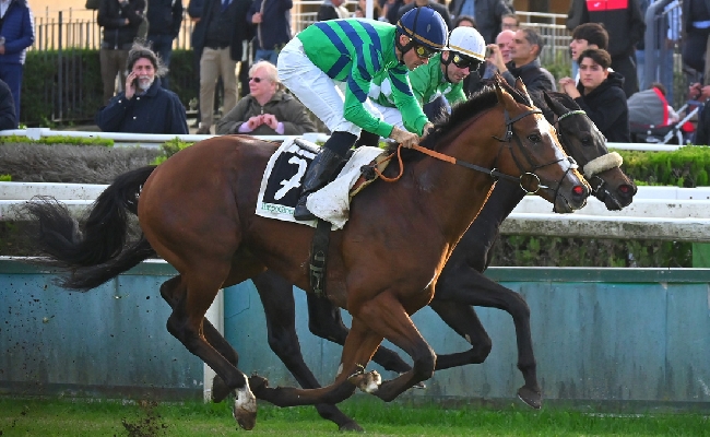 Ippica Ippodromo Capannelle Master Berdardelli Noble Title conquista Premio Umbria Supereroe vince Rumon Mysterious Shadow Criterium Femminile