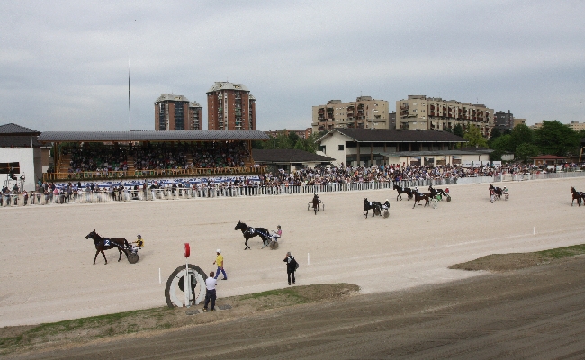 FIERACAVALLI: DOMENICA TAVOLA ROTONDA MASAF ANACT SU ALLEVATORI CAVALLI DA CORSA