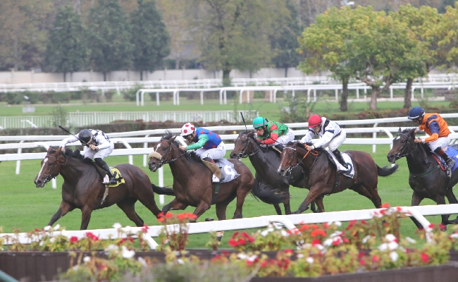 ALL’IPPODROMO SNAI SAN SIRO IL MERCOLEDÌ DI GALOPPO DEDICATO AI CAVALLI DI 2 ANNI. OCCHI PUNTATI SULLE DUE MAIDEN VALIDE PER IL PREMIO PENSIERIEPAROLE E IL PREMIO LAVINIA FONTANA