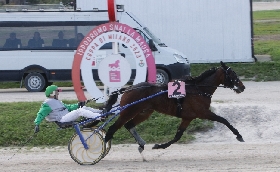 Ippica all’Ippodromo Snai La Maura di Milano venerdì di trotto con sette prove tra cui il Premio Desiderio d’Esi