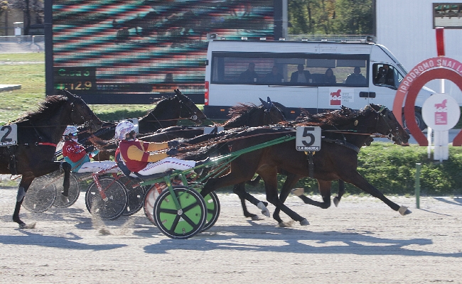 Ippica Premio Desiderio D’Esi clou venerdì Ippodromo Snai La Maura vince Filly Mail Frank Gio delude