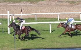 ALL’IPPODROMO SNAI SAN SIRO ULTIMO MERCOLEDÌ DELLA STAGIONE DI GALOPPO CON SETTE PROVE TRA CUI IL PREMIO CARLO BASCAPÉ. AL VIA DALLE ORE 12:25