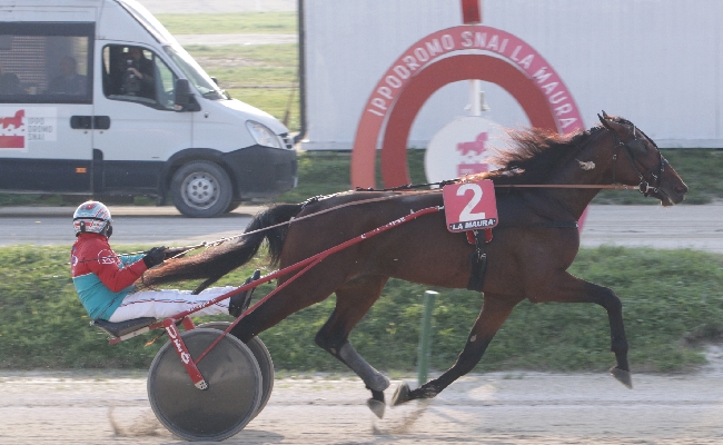 Ippica venerdì all’ippodromo Snai La Maura di Milano in scena il premio allevamento Ek e il premio timone Ek. Attesa per la “Coppa di Milano” del 7 dicembre