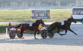 Ippica all’Ippodromo Snai La Maura il Premio Allevamento Ek a Far West Bi mentre lo svedese Global Agreement vince il Premio Timone Ek