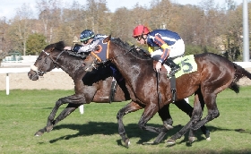 Ippica l’Ippodromo Snai San Siro di Milano saluta la stagione 2023 con un bel sabato di corse e contro la violenza sulle donne Protagonisti Terrible Land nel Premio Mirko Marcialis Gino Jet nel Renzoni e Real Wild Child nel Premio San Siro