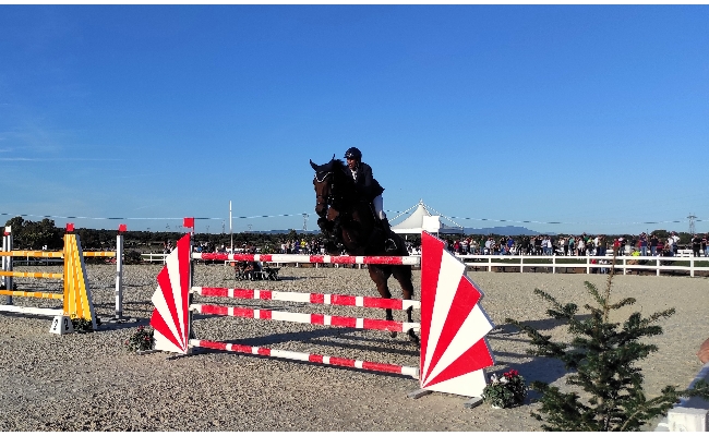 Salto ostacoli: finale del Trofeo dei Nuraghi a Tanca Regia per i cavalli nati e allevati in Sardegna