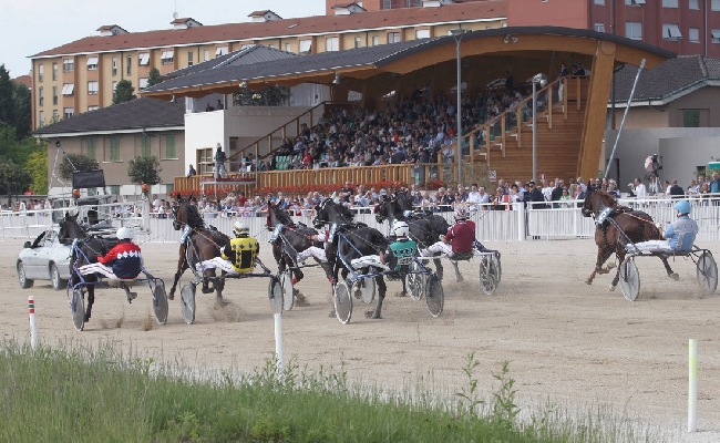 Ippica domenica Ippodromo Snai La Maura Milano dicembre premio Cash Bank Bigi beneficienza trofeo Onlus Milano