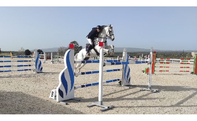 Equitazione salto ostacoli diciannovenne Antonio Meloni Vadir vince Trofeo Nuraghi Tanca Regia cavalli nati allevati Sardegna