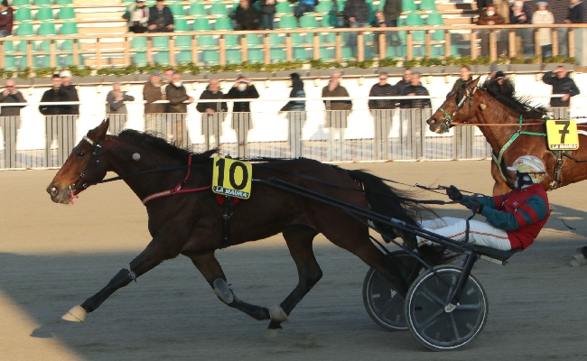 GIOVEDÌ CON LA ‘COPPA DI MILANO’ ALL’IPPODROMO SNAI LA MAURA PER UNA GIORNATA TOP DI TROTTO E UNA GRANDE FESTA PER IL PUBBLICO