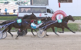 Ippica: all'ippodromo Snai La Maura domenica con tre prove condizionate il trotto montato e i Gentlemen con il Trofeo Obiettivo Casa'