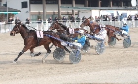 Ippica: festa della vigilia di Natale all’Ippodromo Snai La Maura di Milano con sette corse per cui la condizionata in avvio di giornata per il Premio Zabul Fi e l’Handicap per il Premio Ringostarr Treb