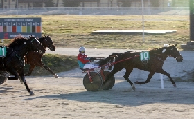 ALL’IPPODROMO SNAI LA MAURA DI MILANO VIGILIA DI NATALE TRA FESTA E COMMOZIONE IN RICORDO DI BALDI E SCIARRILLO. IN PISTA PROTAGONISTA ELITE D’ARC CHE VINCE IL PREMIO RINGOSTARR TREB