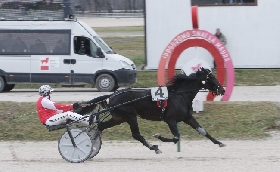 Ippica all’Ippodromo Snai La Maura di Milano Eagle Prav protagonista della domenica di trotto a lui il premio Red Chief