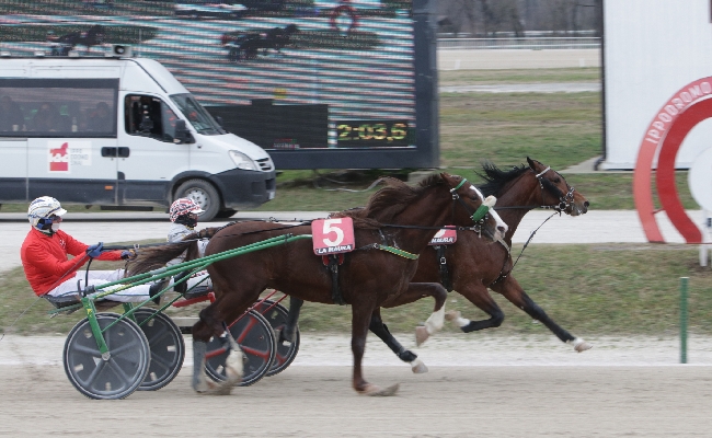 Ippica nel mercoledì di trotto all’Ippodromo Snai La Maura dedicato alla scuderia Indal brilla Dolly Effe