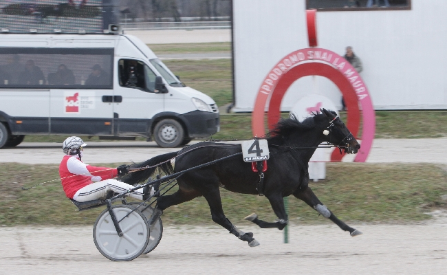 Ippica: il mercoledì di trotto all’ippodromo Snai La Maura regala a Dayak la vittoria nella corsa con più dotazione mentre Express D’Arc si aggiudica il sottoclou 