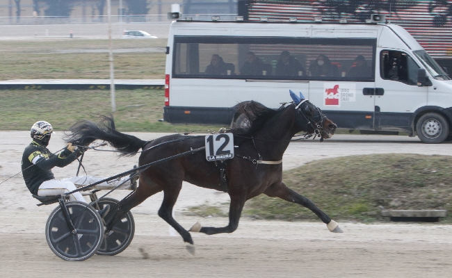 ALL’IPPODROMO SNAI LA MAURA DI MILANO UNA BELLA DOMENICA DI TROTTO CON SETTE PROVE A PARTIRE DALLE ORE 12:50