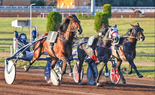 Ippica Onorato Sport Roma Ippodromo Capannelle concluso iter affidamento Hippogroup Masaf calendarizzare gare