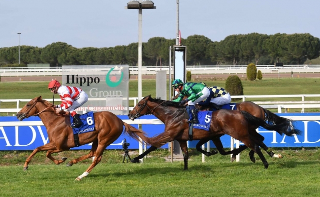 Ippodromo Capannelle decreto affidamento Hippogroup La Pietra Masaf Roma torna calendario