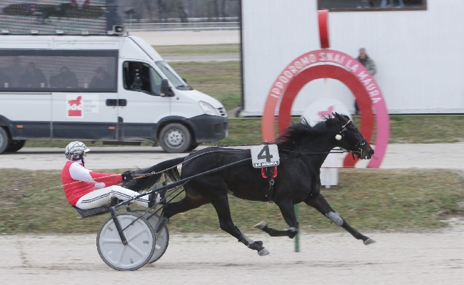 Buona la prima di febbraio all'Ippodromo Snai La Maura: First Time Roc domina la condizionata per cavalli di 3 anni Evidence Ferm firma il sottoclou e Drake Gar più veloce di tutti.
