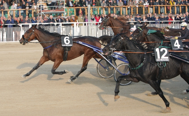 All'Ippodromo Snai La Maura domenica di trotto e animazione per bambini e famiglie. Cancelli aperti dalle 12.50 in pista sette corse al via dalle 14.05