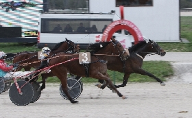 IL SABATO ALL’IPPODROMO SNAI LA MAURA SORRIDE A CAIO TITUS BOND CHE SI AGGIUDICA IL PREMIO IN MEMORIA DI MAURIZIO SCHETTINO. PROSSIMO APPUNTAMENTO COL TROTTO MILANESE SABATO 16