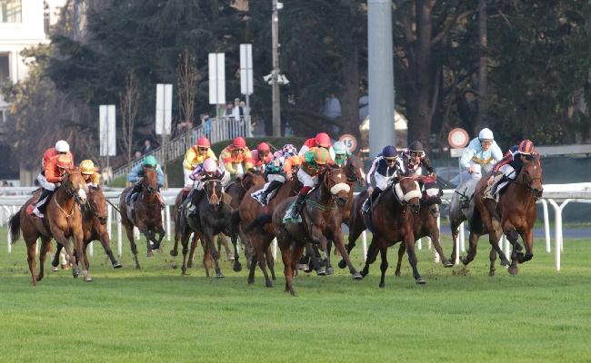 ALL’IPPODROMO SNAI SAN SIRO UN ALTRO BEL SABATO TRA CORSE INTRATTENIMENTO E IL TOUR PER SCORPRE LE BELLEZZE DELLO STORICO IMPIANTO MILANESE. AL VIA DALLE ORE 14