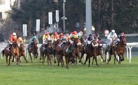 ALL’IPPODROMO SNAI SAN SIRO UN ALTRO BEL SABATO TRA CORSE INTRATTENIMENTO E IL TOUR PER SCORPRE LE BELLEZZE DELLO STORICO IMPIANTO MILANESE. AL VIA DALLE ORE 14