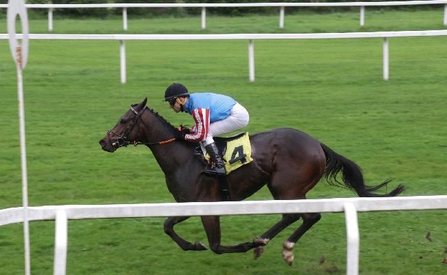 Ippica Ippodromo Snai San Siro primo mercoledì stagione Free Nation Ghepardo da Todi Premio Laghi Corso Buenos Aires