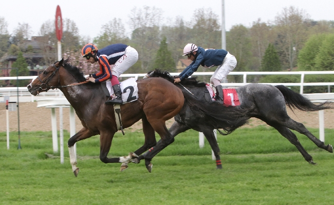 ALL’IPPODROMO SNAI SAN SIRO CALM REEF SI CONFERMA NEL PREMIO MICROBIOTAL HORSE CLOU DELLA DOMENICA IN PARTNERSHIP CON NBF LANES LINEA HORSE