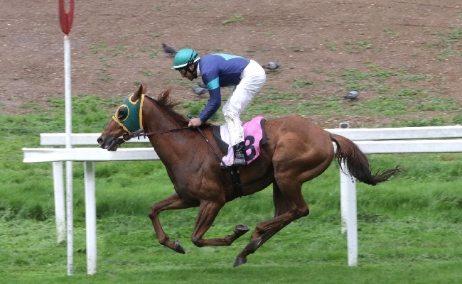 Il mercoledì all'Ippodromo Snai San Siro in onore dell'architetto degli ippodromi Paolo Vietti Violi e con Beholder che vince il clou della 6^ giornata di galoppo