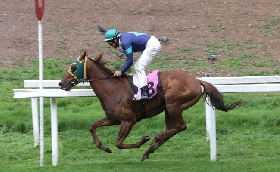 Ippica Ippodromo Snai San Siro domenica sette corse Premio Certosa Emanuele Filiberto