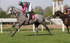 all’ippodromo snai san siro l’infrasettimanale del mercoledì con sei corse al via dalle ore 15:30 tra cui il premio maslogarth. sale l’attesa di sabato 27 con in programma il premio ambrosiano