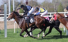 IL PRIMO SABATO DI MAGGIO ALL’IPPODROMO SNAI SAN SIRO PRESENTA IN PISTA IL PREMIO LODI VECCHIO IL JIMY’S GREY E IL RICORDO AD ALESSANDRO FERRARIO. AL VIA DALLE ORE 14:55