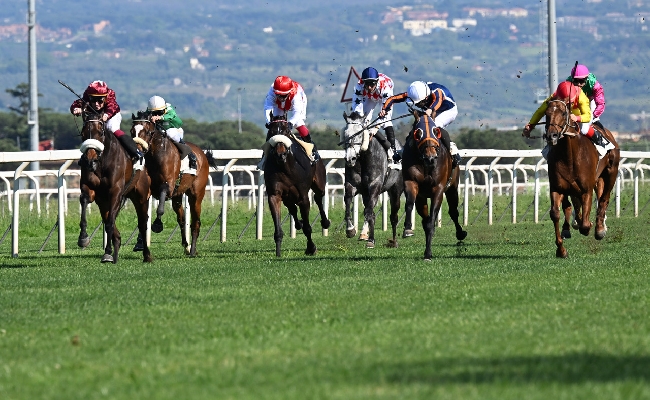 Ippica Ippodromo Capannelle domenica galoppo cresce febbre Derby Day 19 maggio