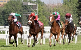 ALL’IPPODROMO SNAI SAN SIRO GIOVEDÌ DI GALOPPO CON SETTE CORSE DEDICATE ANCHE AI GRANDI DELLA LETTERATURA. IN PISTA DALLE ORE 15:15