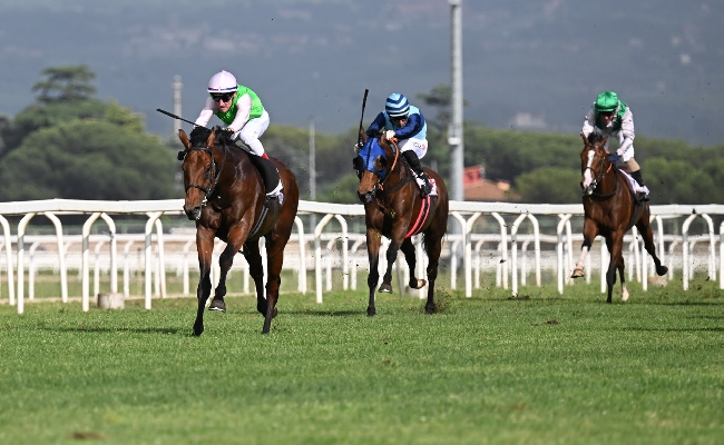 Ippica a Capannelle domenica di Derby. La Pietra (sott. Masaf): Edizione di grande successo