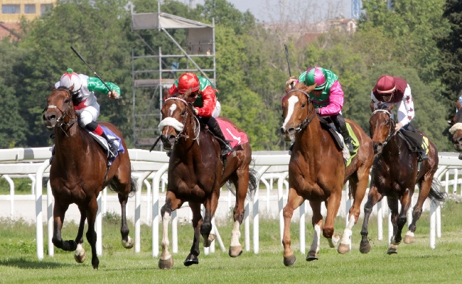 All'Ippodromo SNAI San Siro El Buitre vince il Premio Tramuschio e Grand Embassy il Boffalora. Prossima giornata lunedì 17 con due liste e una grande festa per le famiglie