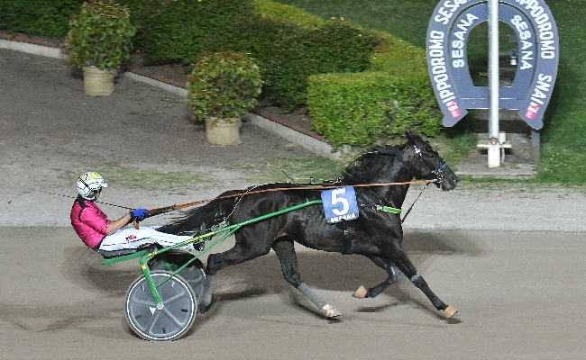 Ippica Ippodromo Snai Sesana Fastday Prav vince prova clou serata Premio Asso Hotel Confesercenti