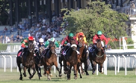ALL’IPPODROMO SNAI SAN SIRO PRESERALE DEL VENERDÌ CON IL PREMIO BERSAGLIO IN ATTESA DELLA SUPER DOMENICA CON I PRIMI PASSI IL VITTADINI E IL GP DI MILANO