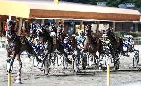 Ippica: Ouverture all'ippodromo di Cesena venerdì 21 giugno con il Premio Bronchi Combustibili