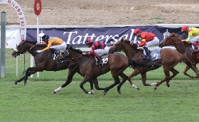 ALL’IPPODROMO SNAI SAN SIRO MERCOLEDÌ DA NON PERDERE CON IN PISTA IL PREMIO TRENNO E LA COPPA D’ORO. SETTE CORSE DALLE ORE 18:15