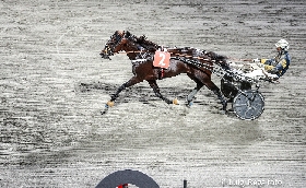 Ippica Ippodromo Cesena Trotto: Premio Circolo Aurora Forlì le corse di martedì 25 giugno