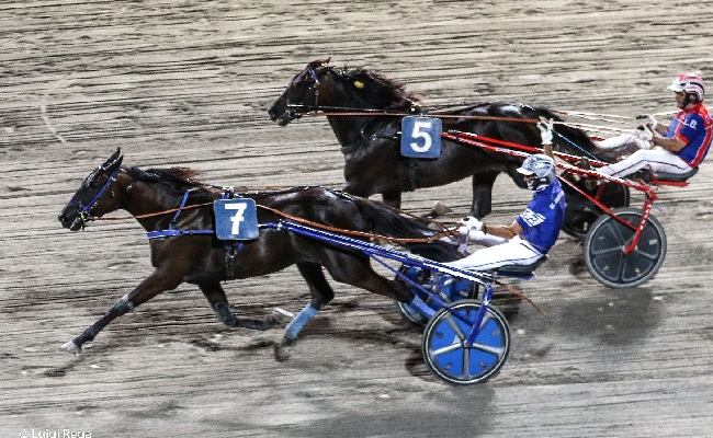 Ippica ippodromo Cesena Trotto: martedì 2 luglio otto corse e la tqq