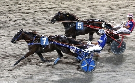 Ippica ippodromo Cesena Trotto: martedì 2 luglio otto corse e la tqq