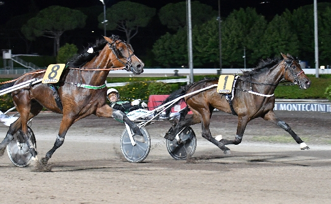 Ippica sabato al Sesana di Montecatini in scena il GP Nello Bellei. Edy Girifalco Gio ed Extra Model sono favoriti con quota 3 25 su Betflag