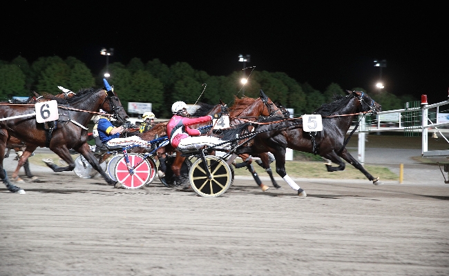 Ippica Ippodromo Cesena Trotto: Premio Equos sabato 13 luglio