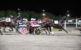 Ippica Ippodromo Cesena Trotto: Premio Equos sabato 13 luglio