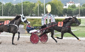 Il Gran Premio Nello Bellei 2024 è di Enock con Enrico Bellei in Sulky nel sabato sera di trotto e di festa all'Ippodromo Snai Sesana